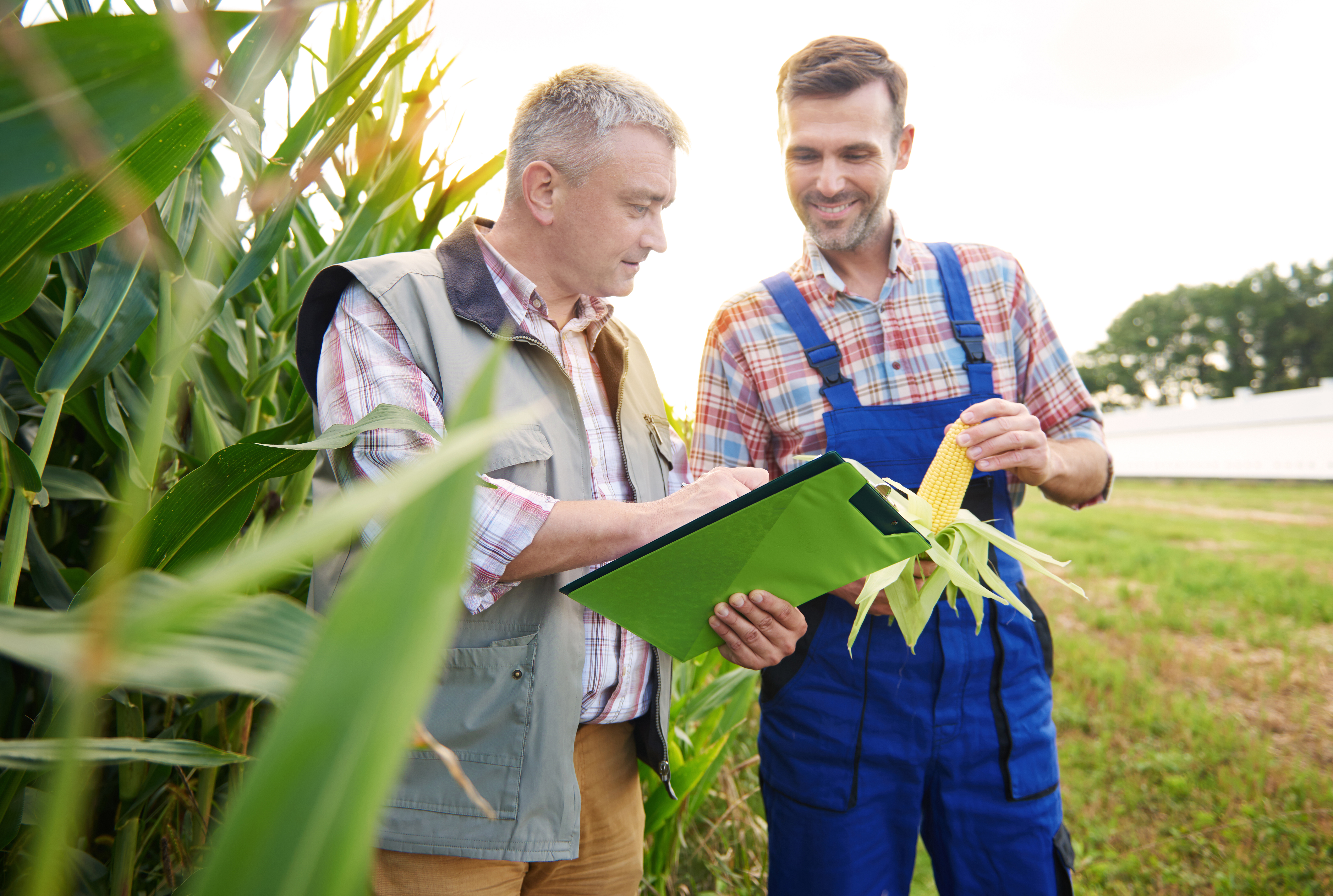 Agricultural Insurance